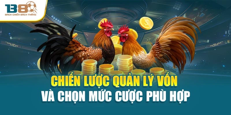 Chiến lược quản lý vốn và chọn mức cược phù hợp