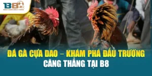 Đá Gà Cựa Dao – Khám Phá Đấu Trường Căng Thẳng Tại B8