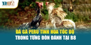 Đá Gà Peru Tinh Hoa Tốc Độ Trong Từng Đòn Đánh Tại B8