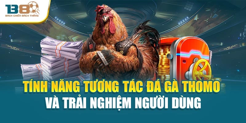 Tính năng tương tác đá gà Thomo và trải nghiệm người dùng