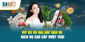 Vip B8 Ưu Đãi Hấp Dẫn Và Dịch Vụ Cao Cấp Vượt Trội